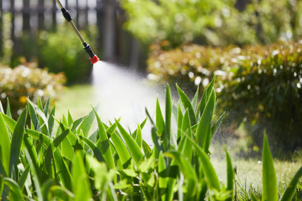 24/7 Emergency Ant Control experts in West Jefferson, NC