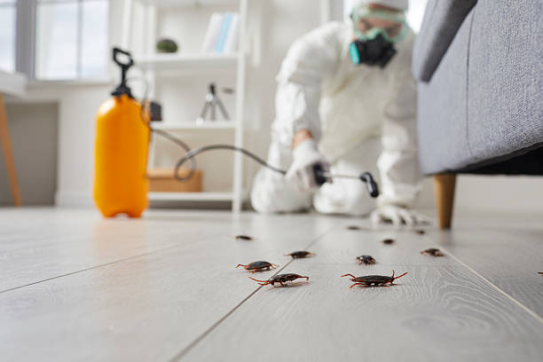 Trusted Cockroach Control service in West Jefferson, NC - Nex Pest Control