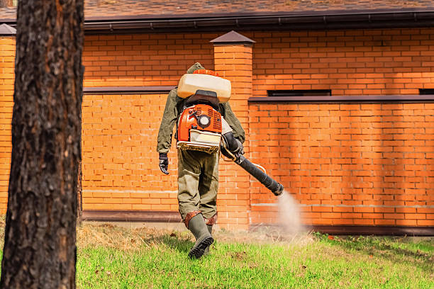 Trusted Mosquito Control service in West Jefferson, NC - Nex Pest Control